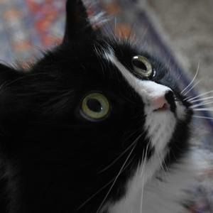 Meet your Posher, Sandra